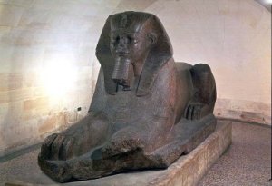 Sphynx